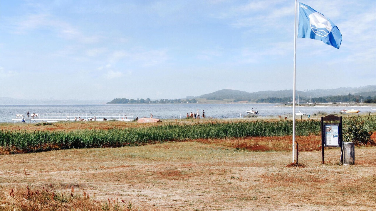 Photo of Others in Lyngsbæk Strand
