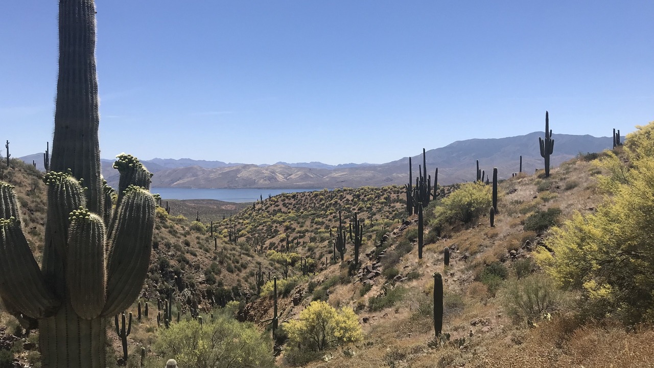Photo of Others in Tonto Basin