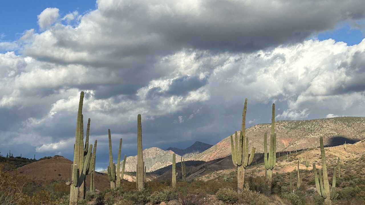 Photo of Others in Tonto Basin
