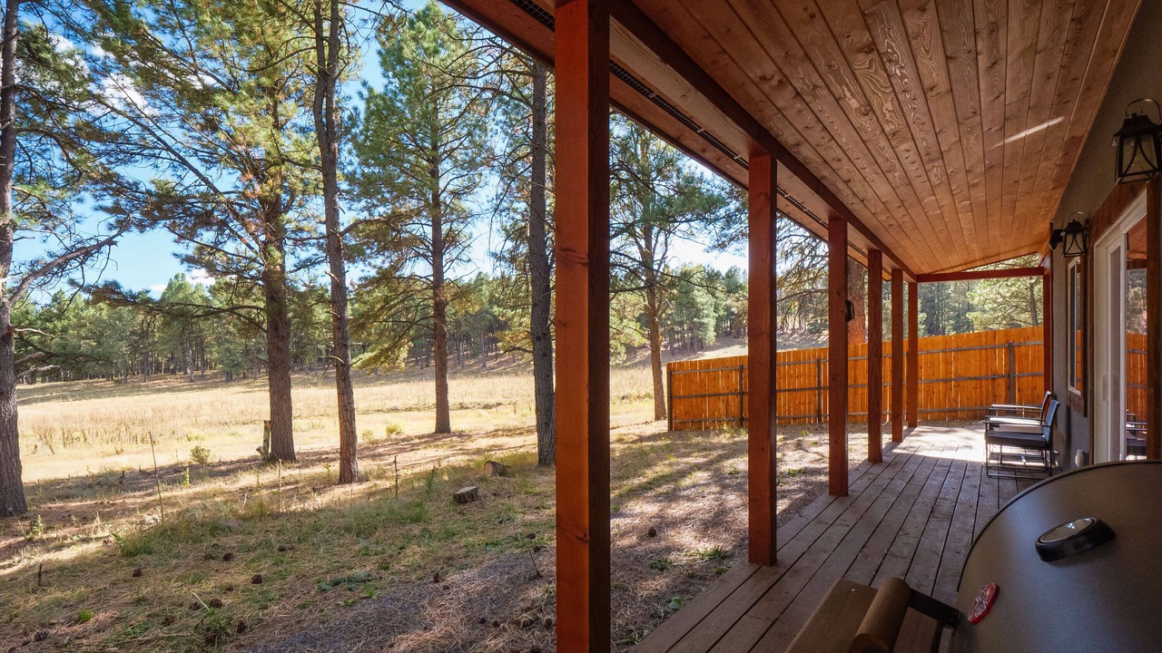 Photo of Patio Balcony in Angel Fire