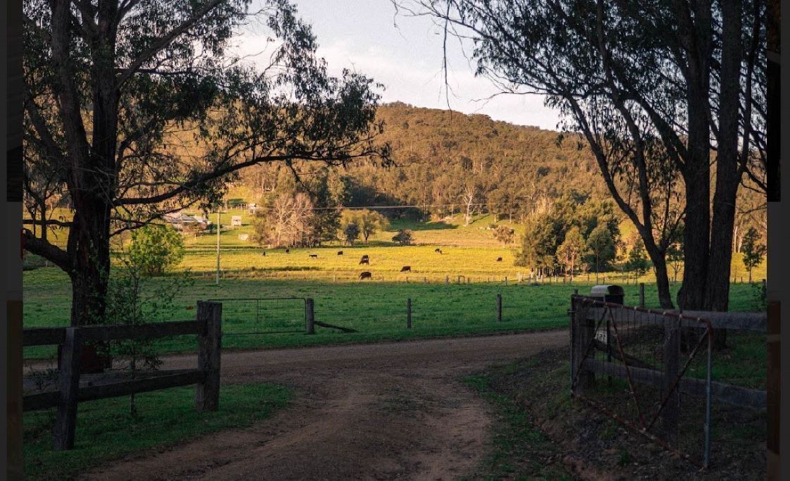 Photo of Others in Wollombi