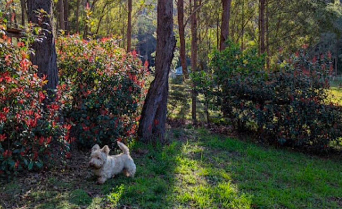 Photo of Outdoor in Wollombi