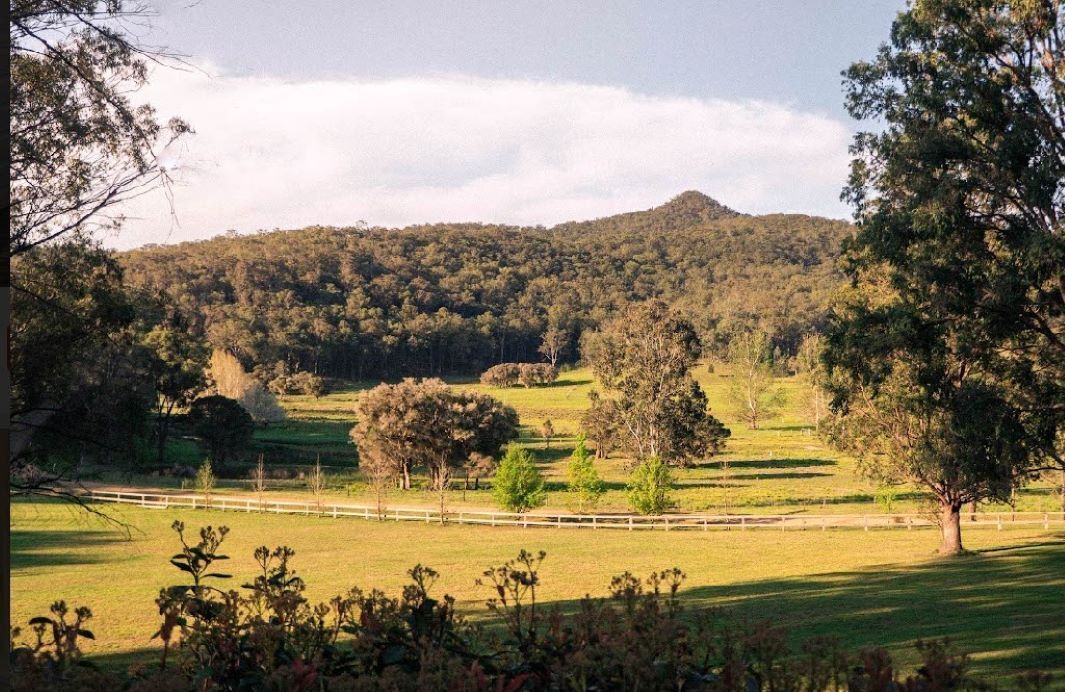 Photo of Others in Wollombi