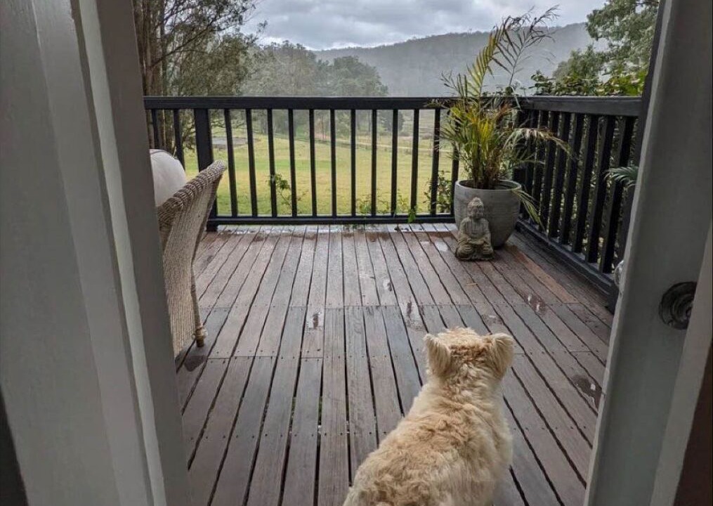 Photo of Others in Wollombi