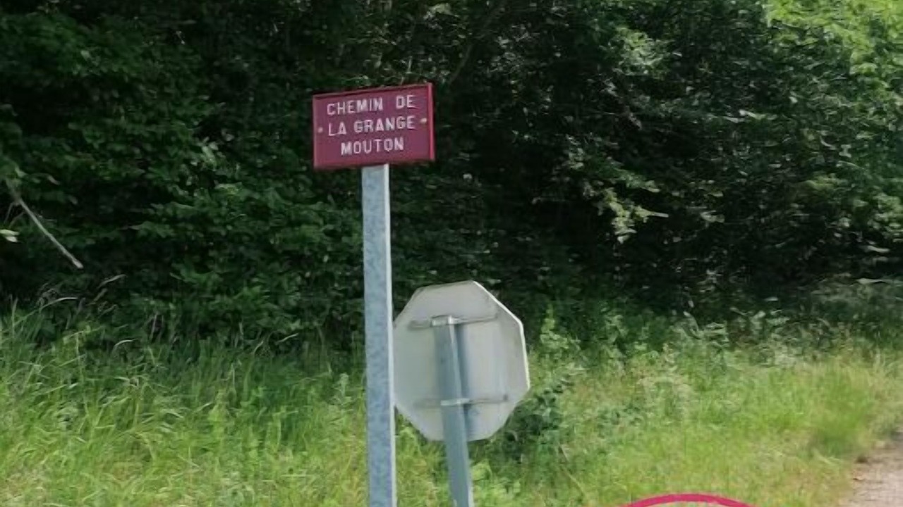 Photo of Outdoor in Dompierre-sur-Nievre