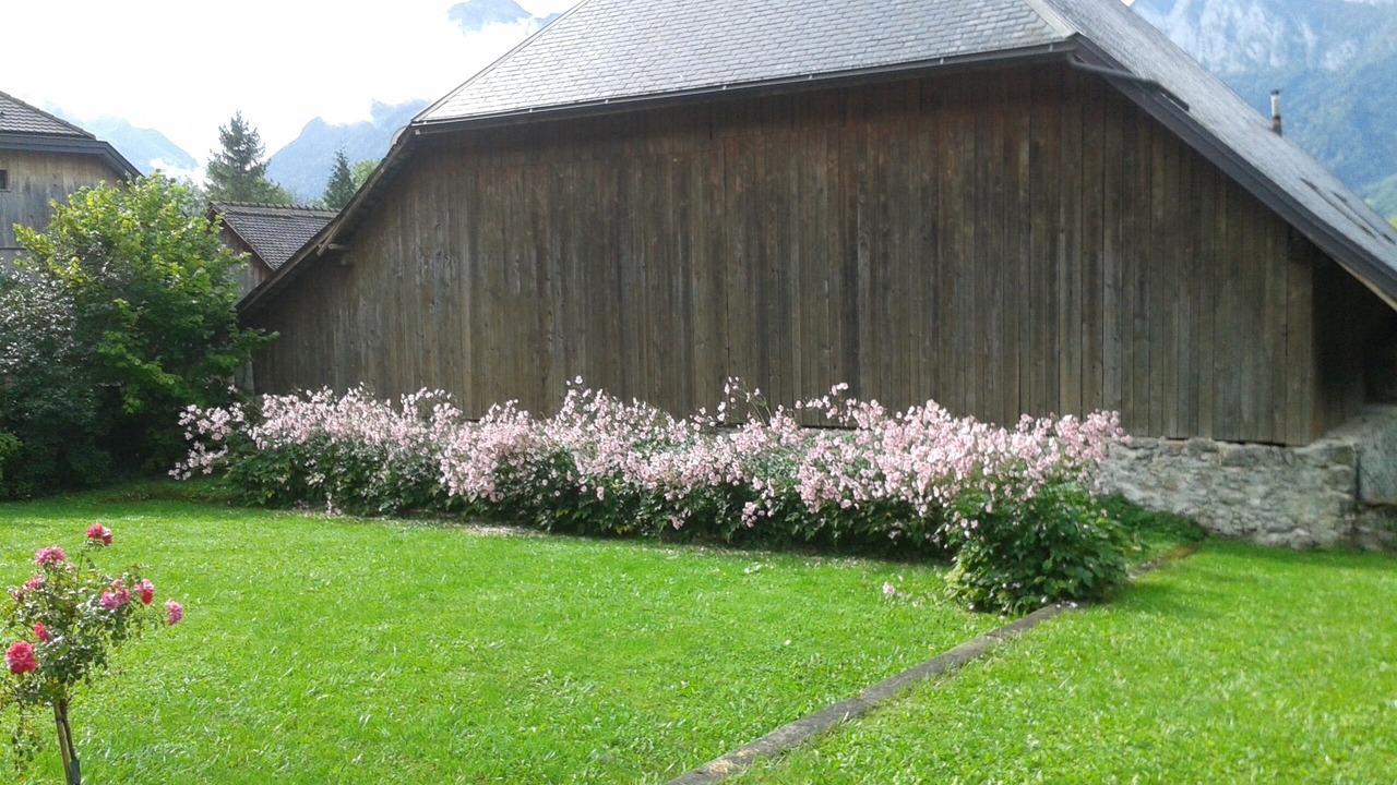 Photo of Outdoor in Verthier