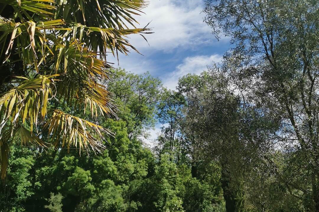 Photo of Others in Saint Sozy