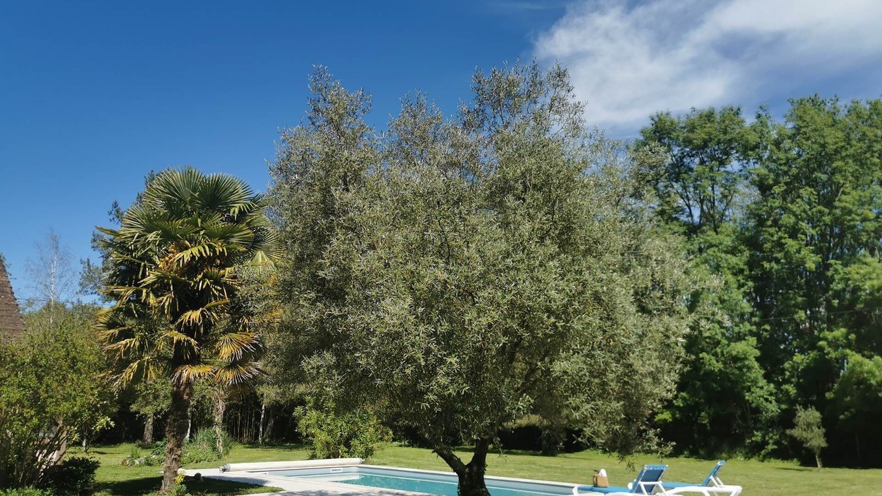 Photo of Others in Saint Sozy