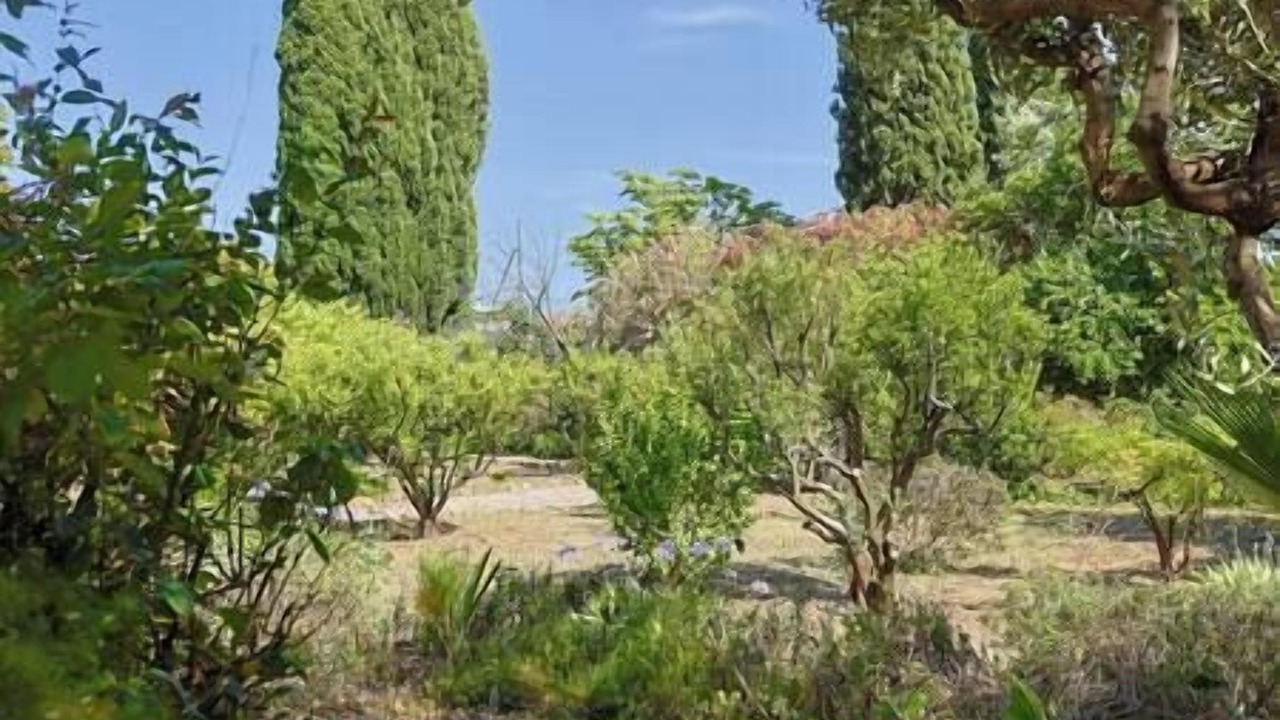 Photo of Outdoor in Hyeres City Centre