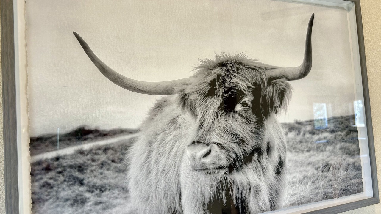 Photo of Others in Powell Butte