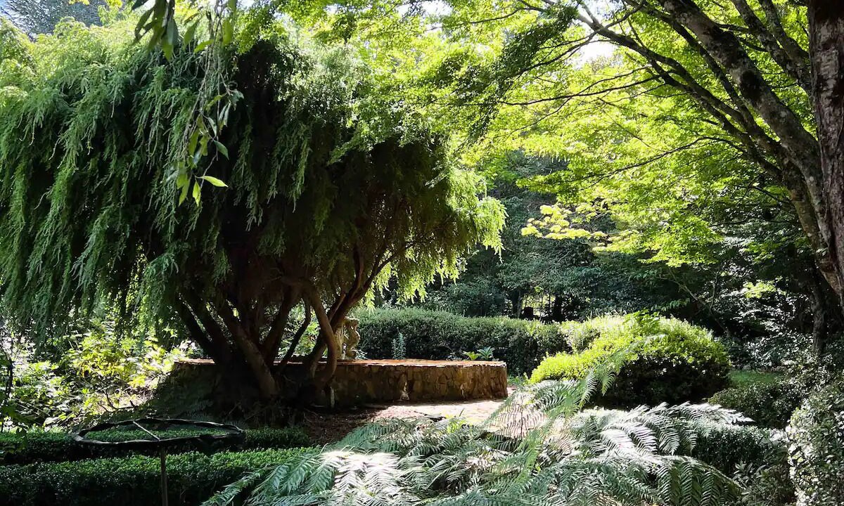 Photo of Outdoor in Mount Wilson