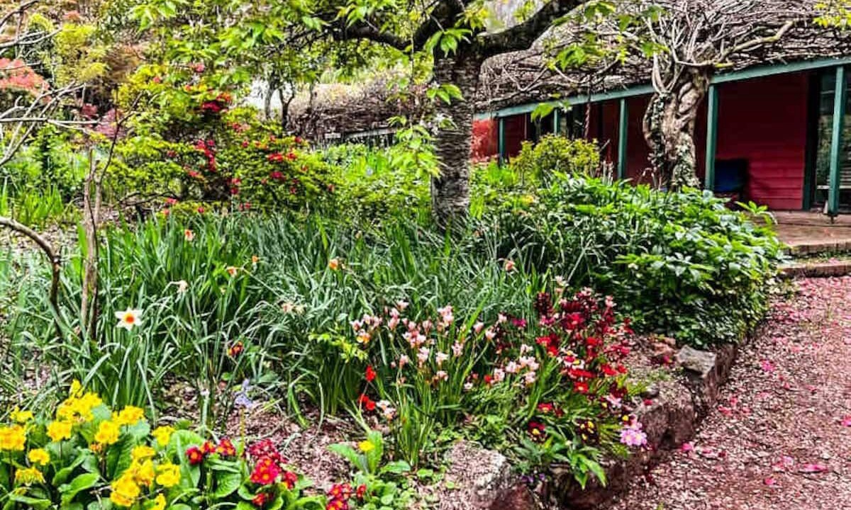 Photo of Outdoor in Mount Wilson