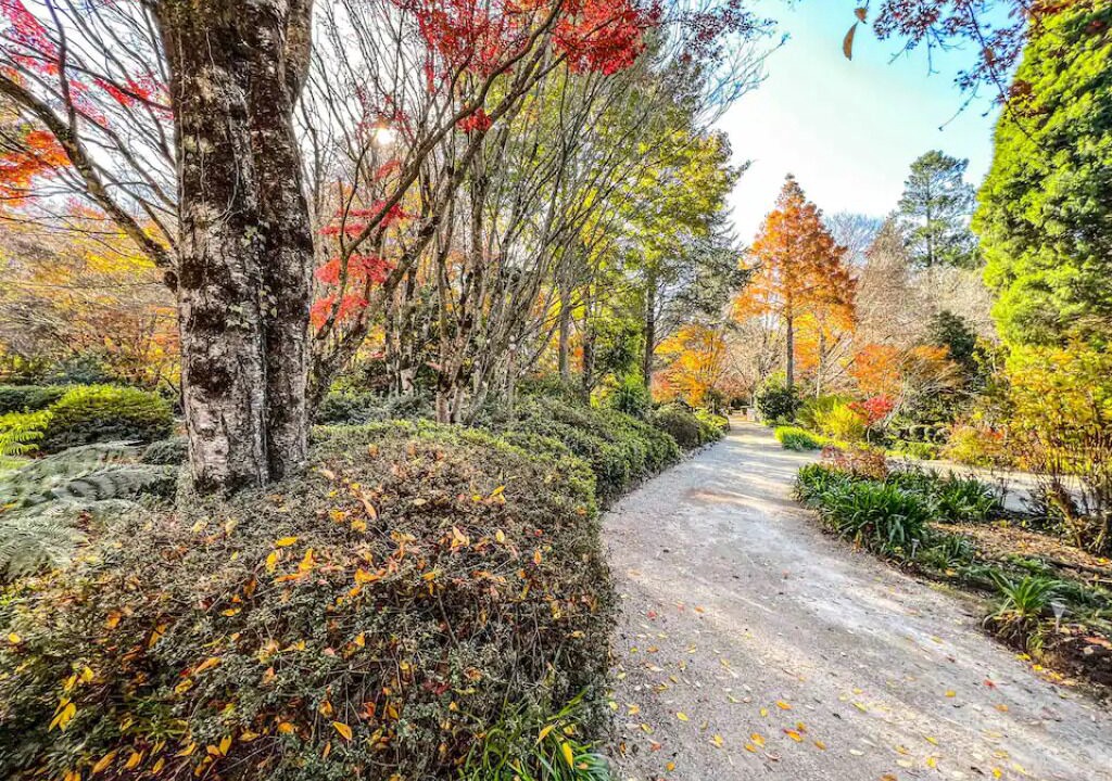 Photo of Outdoor in Mount Wilson