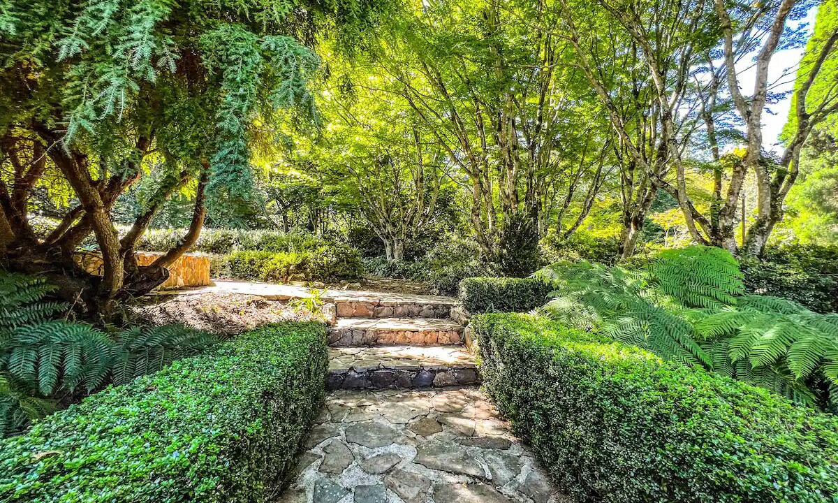 Photo of Outdoor in Mount Wilson