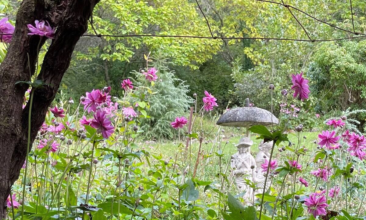 Photo of Outdoor in Mount Wilson