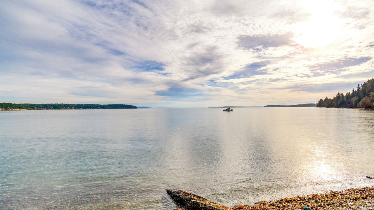 Photo of Others in Port Hadlock