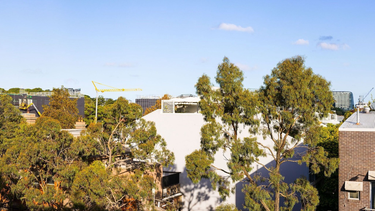 Photo of Others in Alexandria