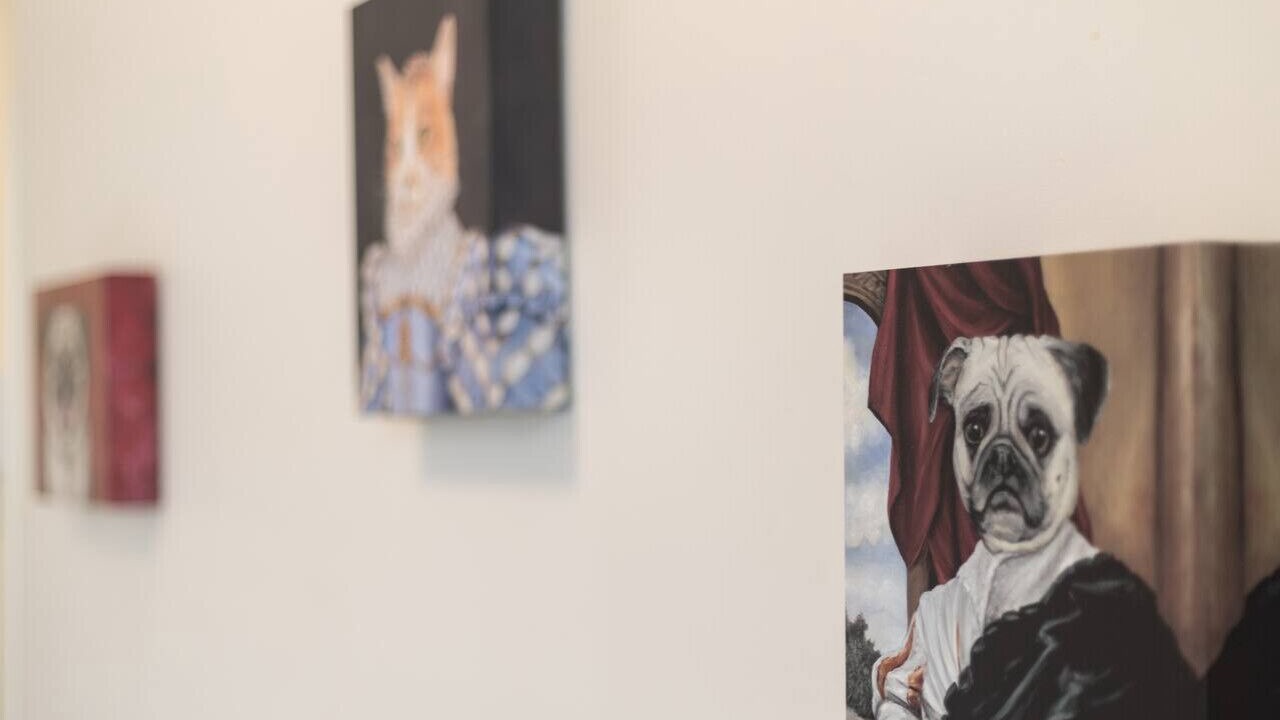 Photo of Others in Hamilton