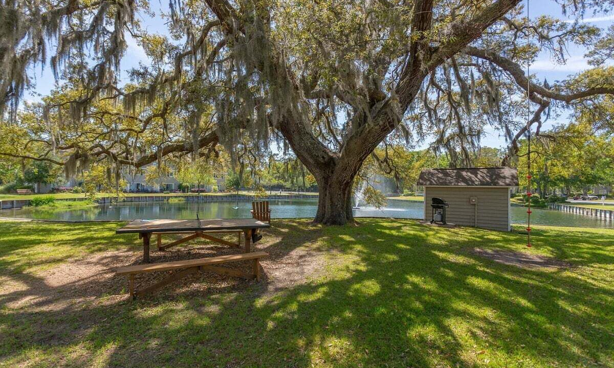 Photo of Outdoor in Demere Park