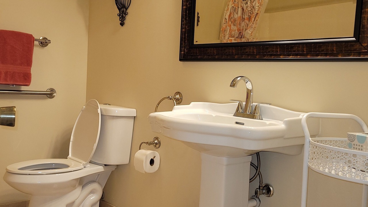 Photo of Bathroom in Papaikou