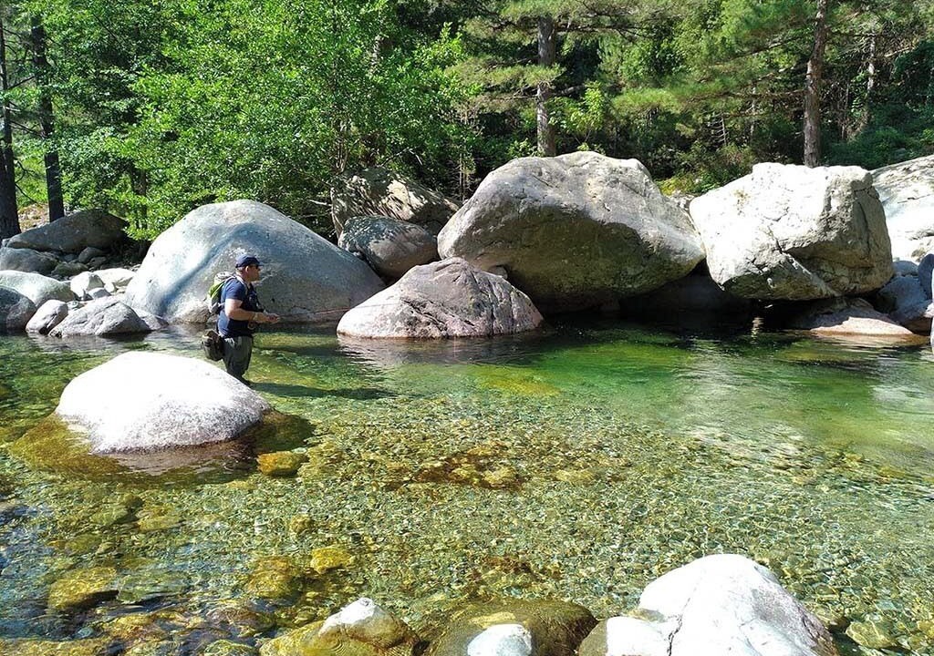 Photo of Others in Ucciani