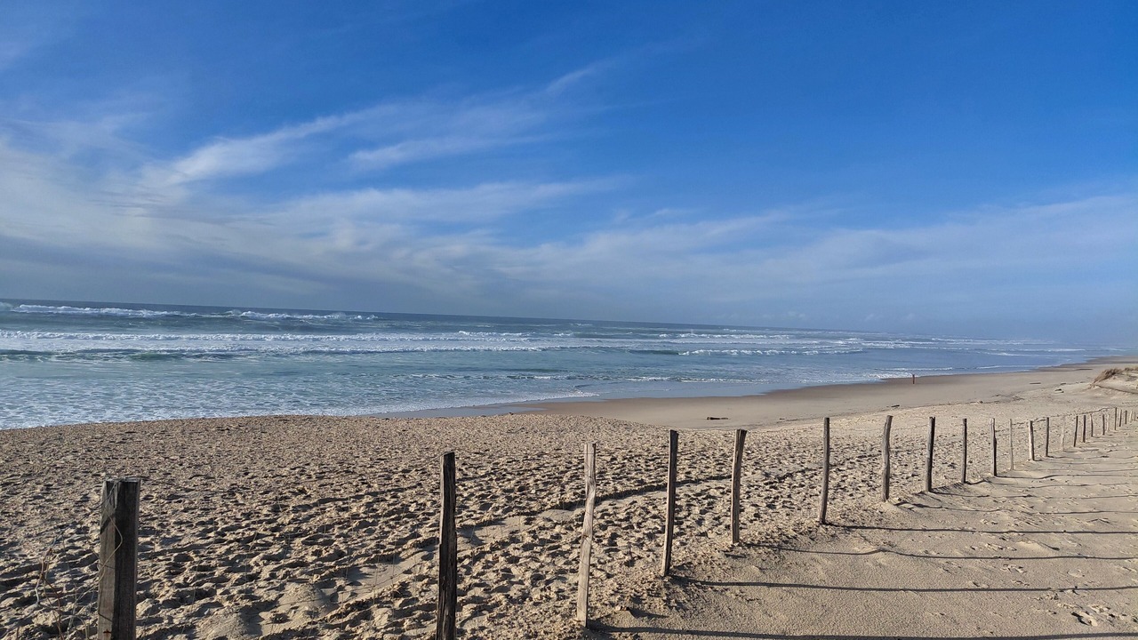 Photo of Others in Biscarrosse Plage