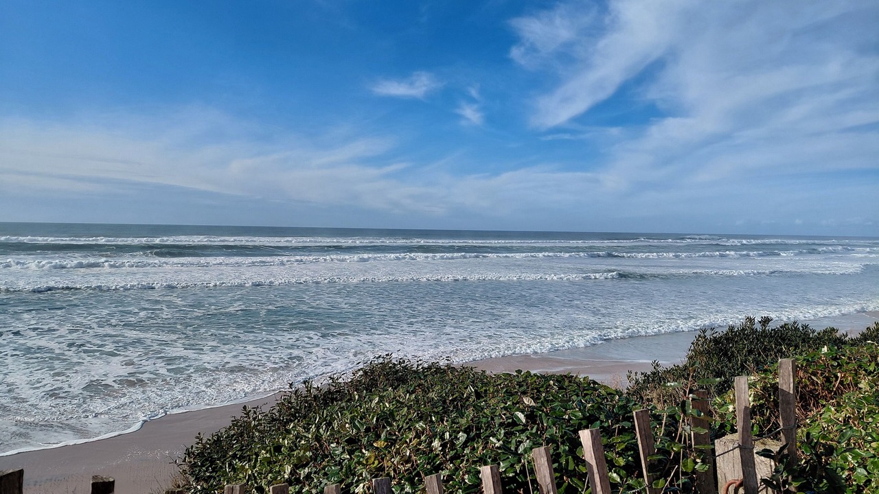 Photo of Others in Biscarrosse Plage