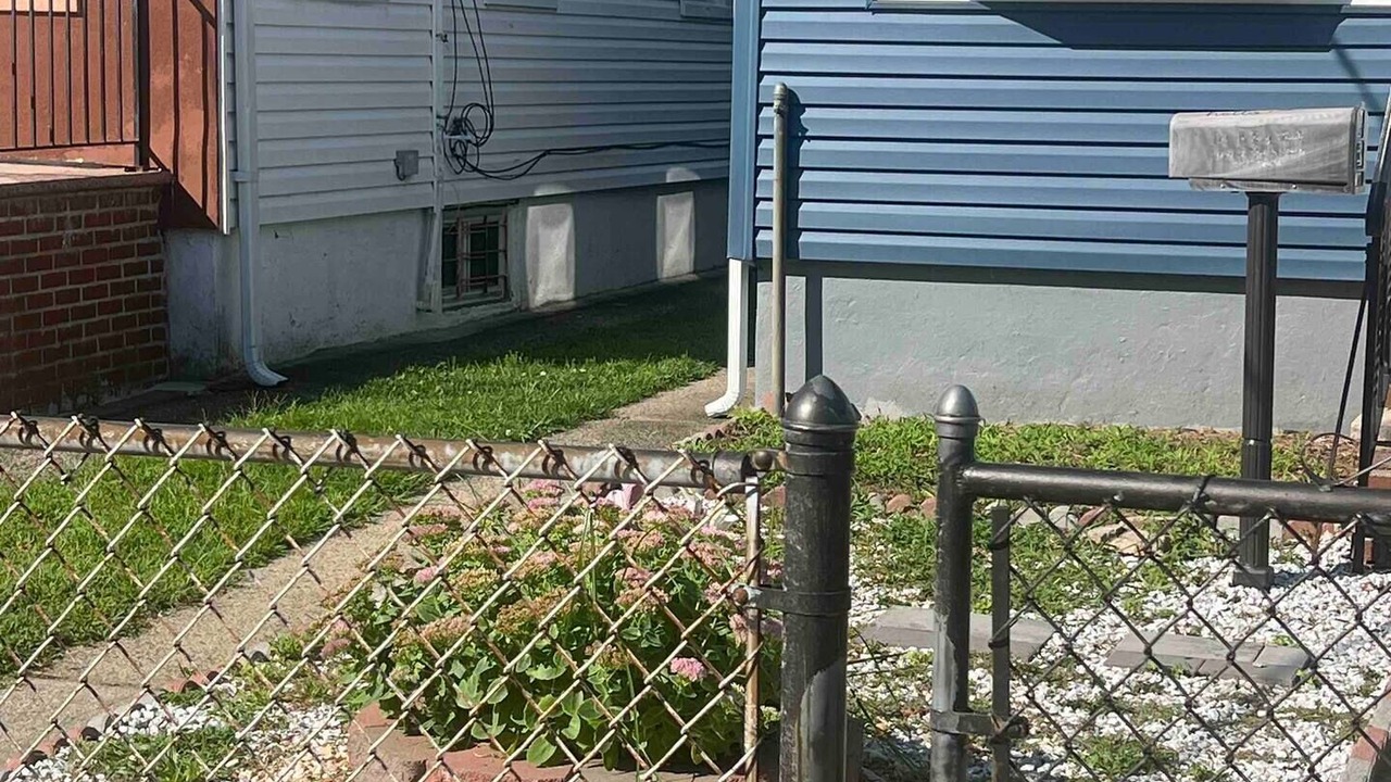 Photo of Outdoor in South Jamaica