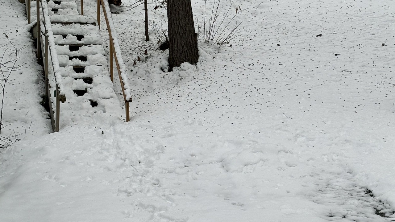 Photo of Outdoor in Gravenhurst