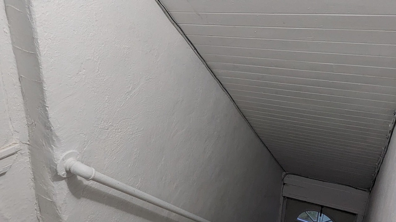 Photo of Others in Sunnyside