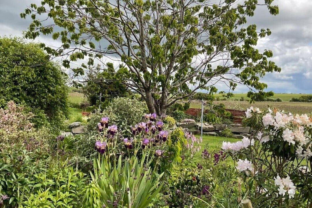 Photo of Outdoor in Bankend