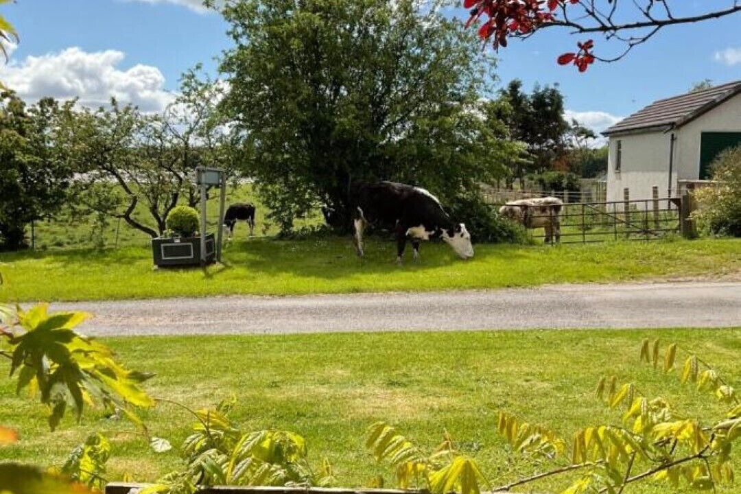 Photo of Outdoor in Bankend