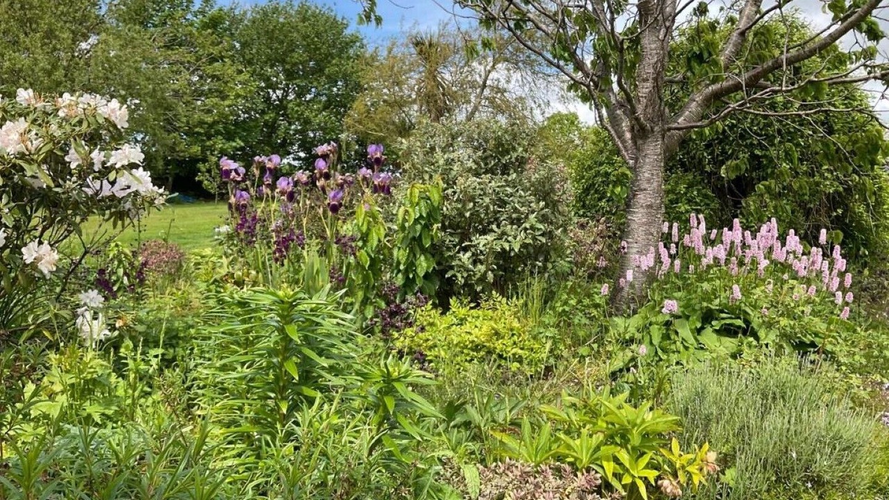 Photo of Outdoor in Bankend