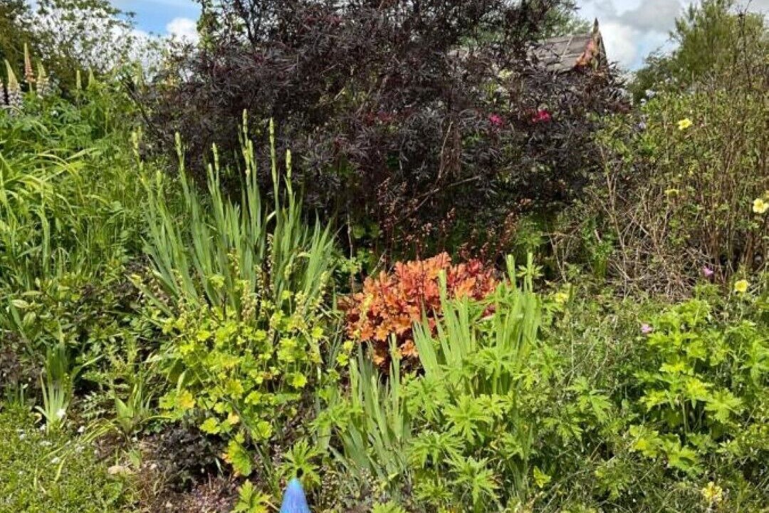 Photo of Outdoor in Bankend