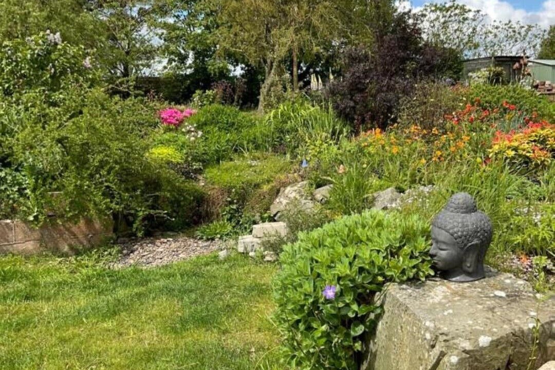 Photo of Outdoor in Bankend