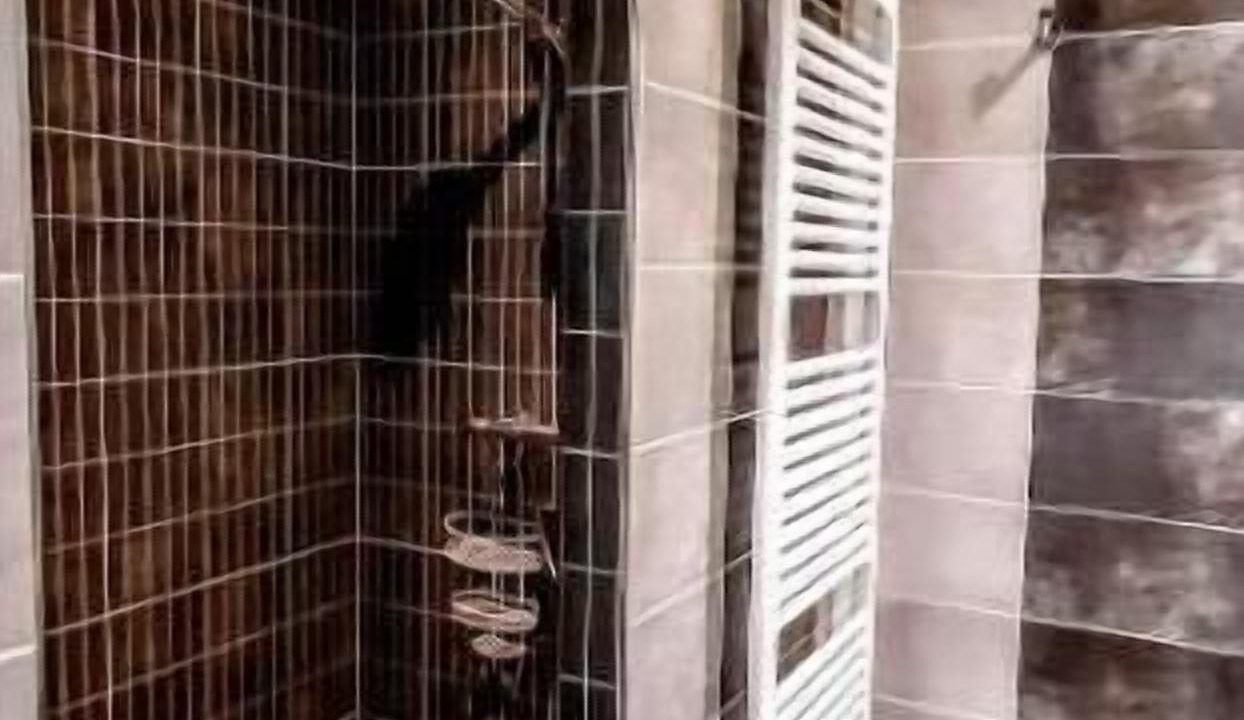 Photo of Bathroom in Bourran