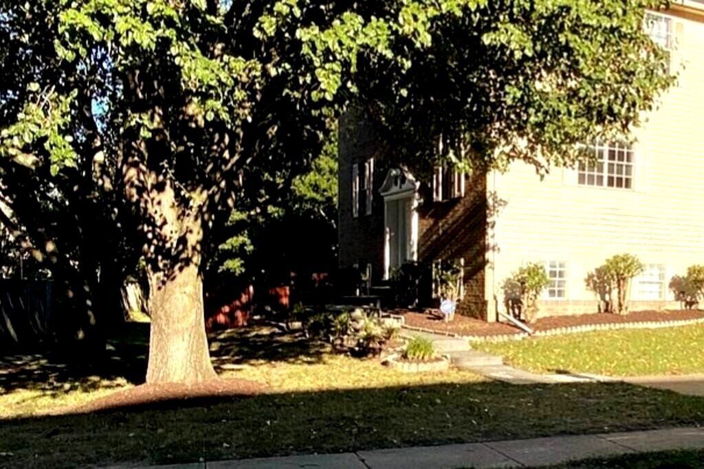 Photo of Outdoor in Hybla Valley