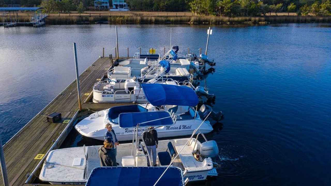 Photo of Others in Steinhatchee