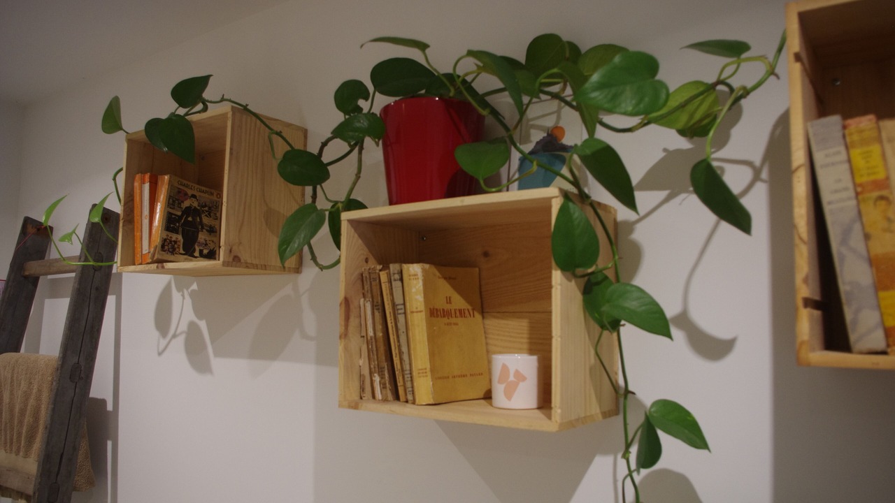 Photo of Others in Vains