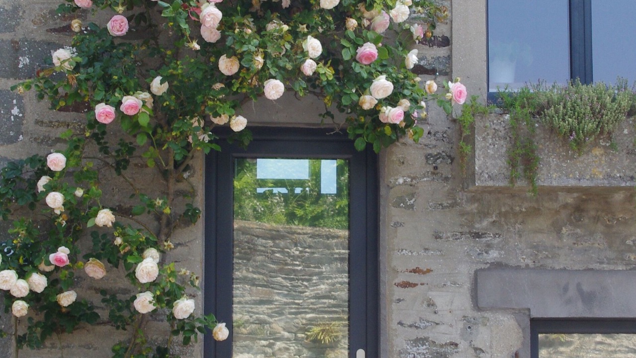 Photo of Others in Vains