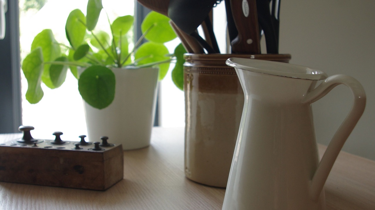 Photo of Others in Vains