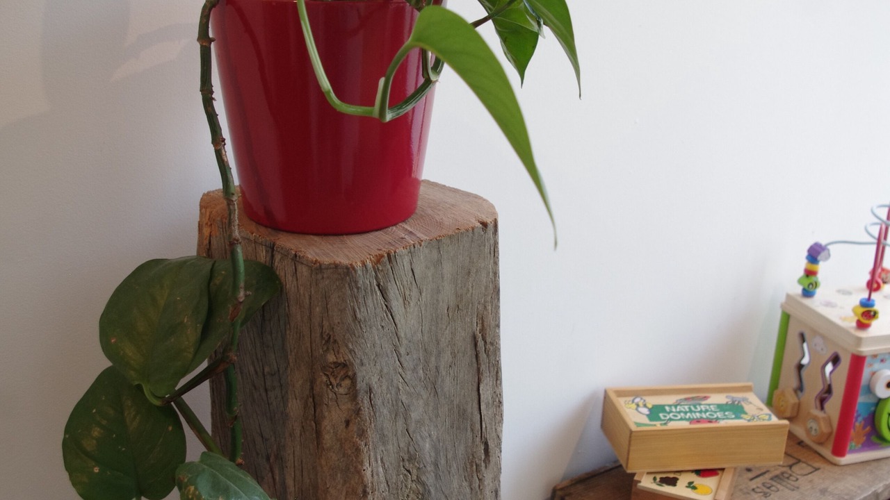 Photo of Others in Vains