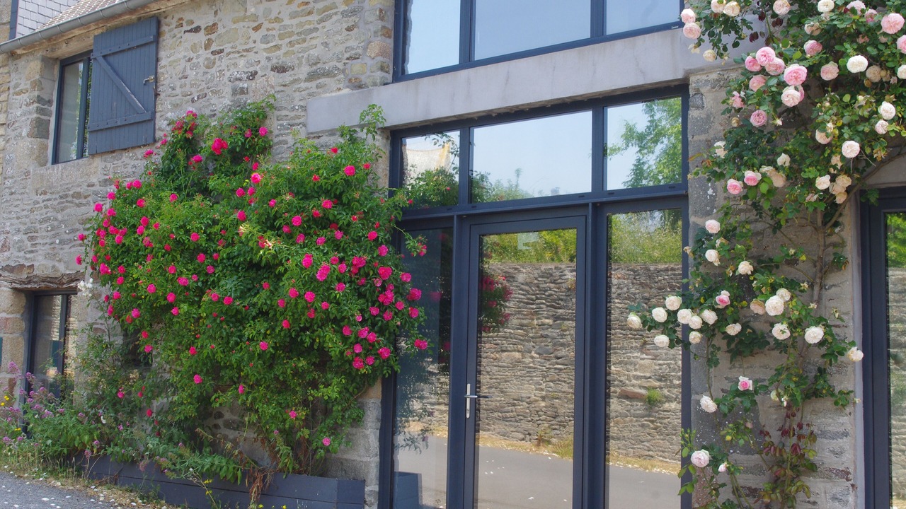 Photo of Others in Vains