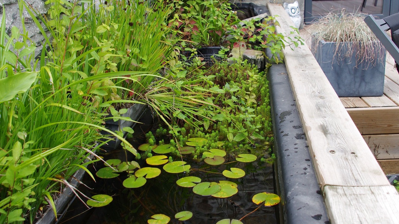 Photo of Others in Vains