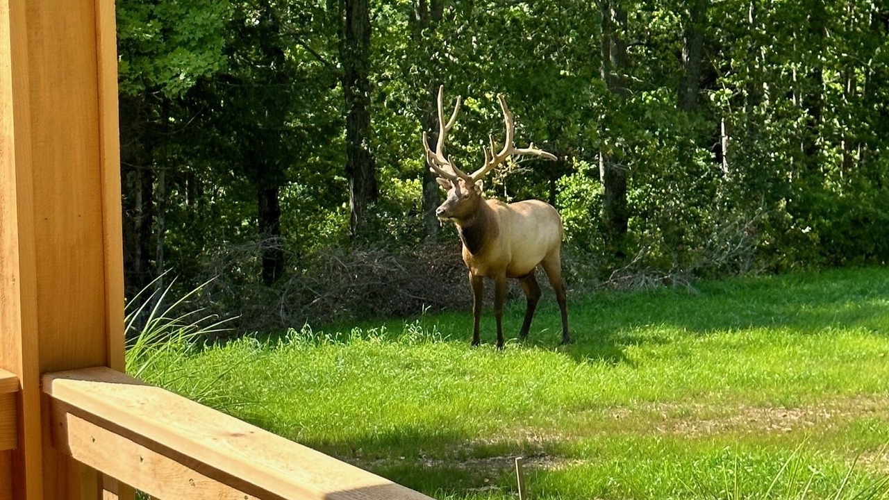 Photo of Outdoor in Benezette