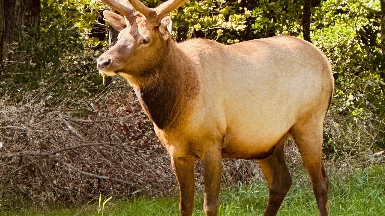 Photo of Others in Benezette