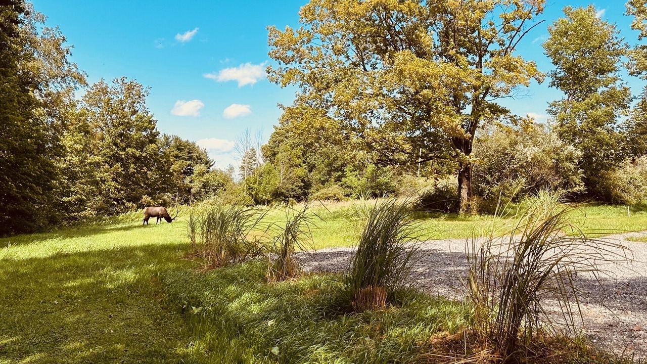 Photo of Outdoor in Benezette