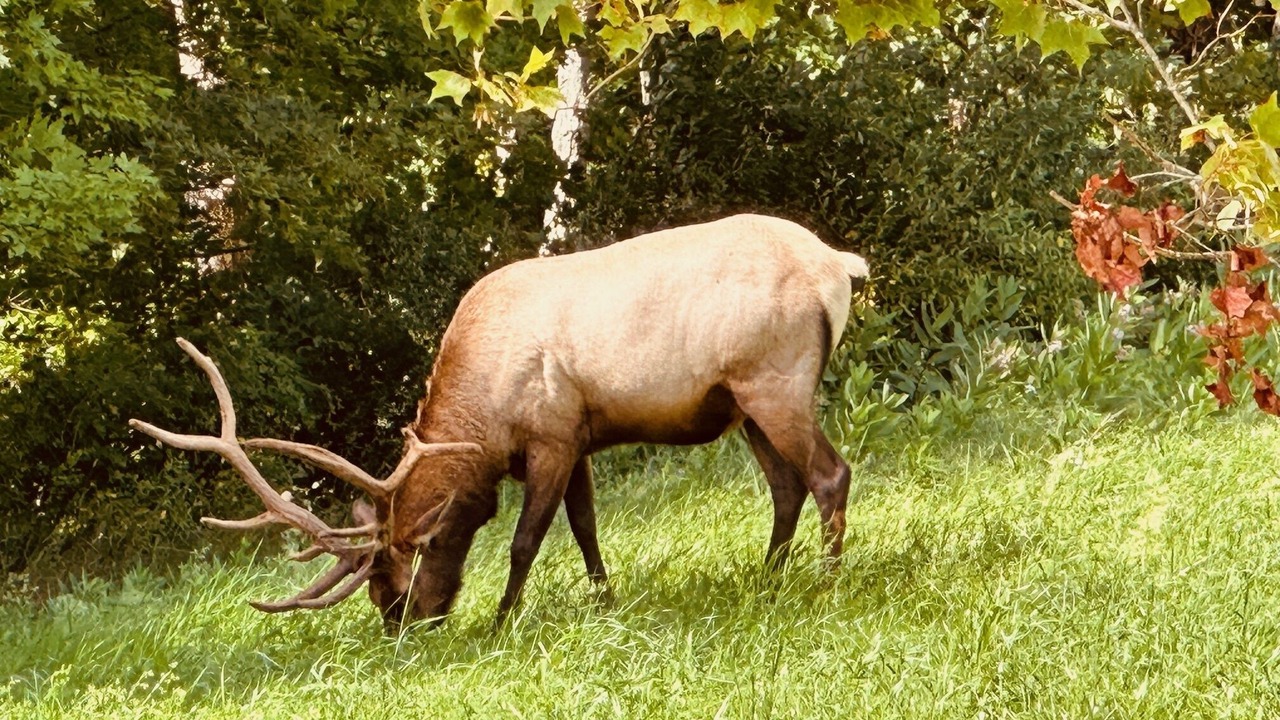 Photo of Others in Benezette