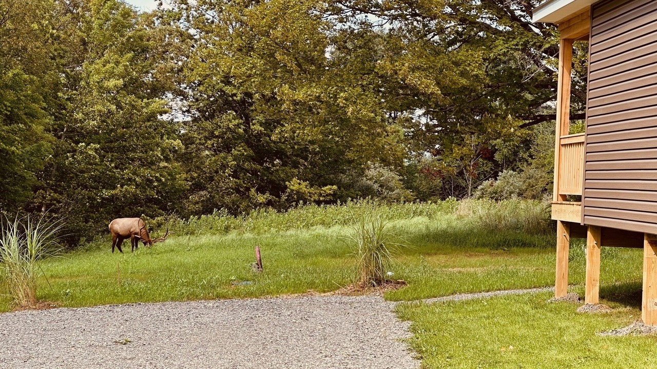 Photo of Outdoor in Benezette