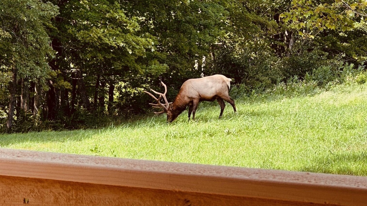 Photo of Outdoor in Benezette